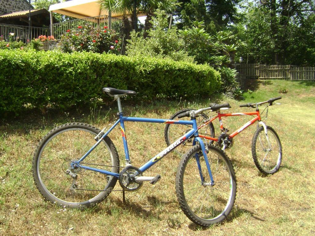 Ai Vecchi Crateri Guest House Sant'Alfio Bagian luar foto