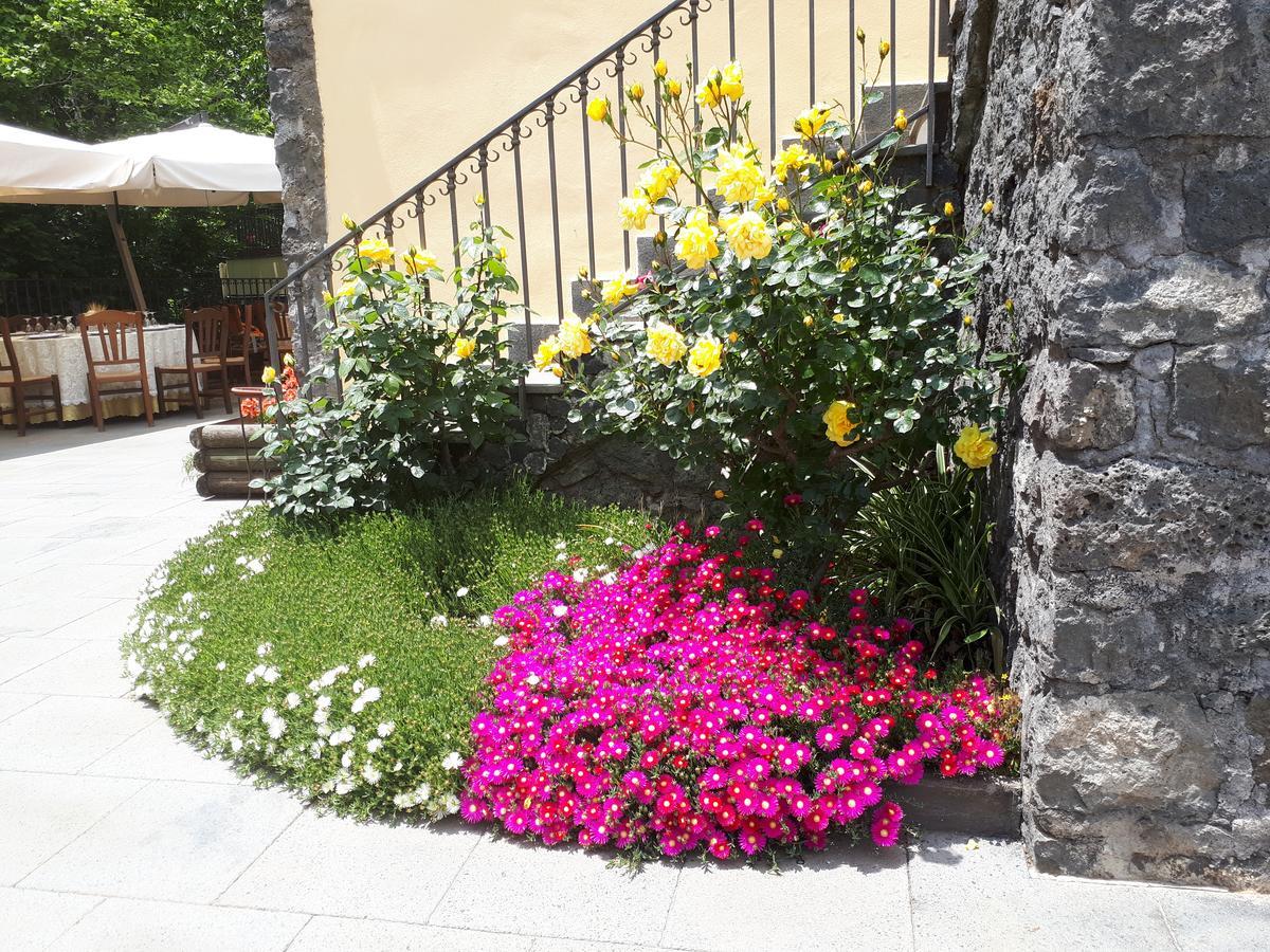 Ai Vecchi Crateri Guest House Sant'Alfio Bagian luar foto
